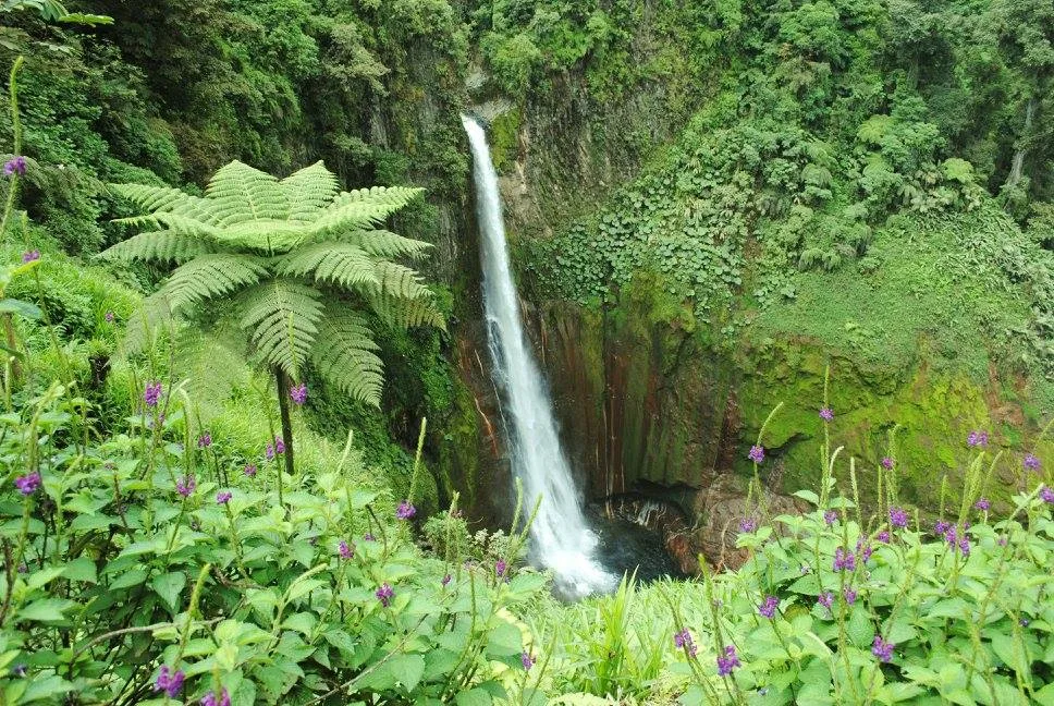 Experiencia en la Cascada del Toro