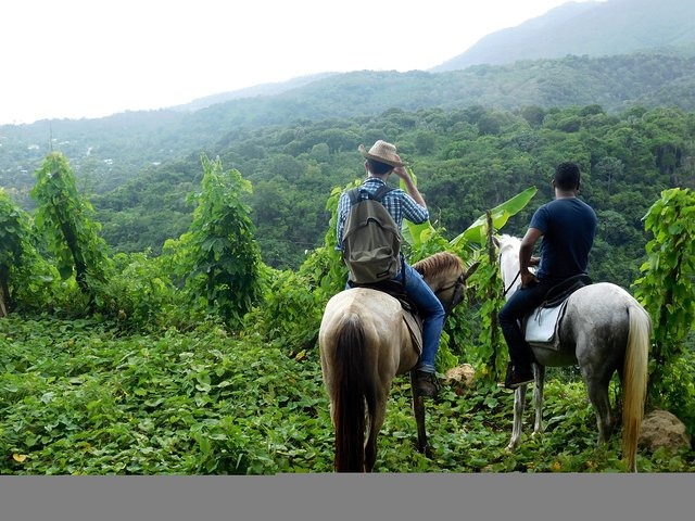 Long Horseback Ride