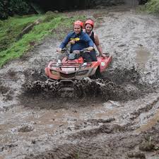 ATV + Butterfly Garden + Lunch